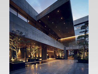 The Dark side of the Moon